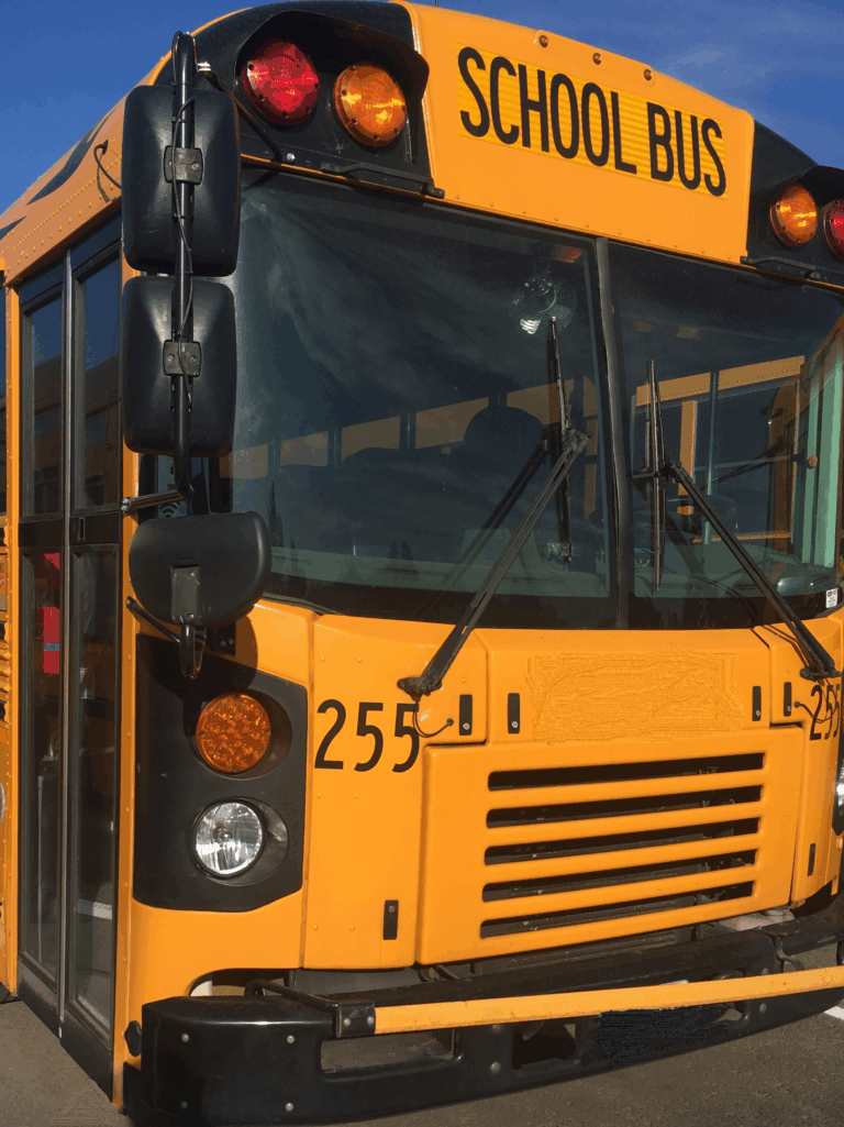 Baby the Bus has books